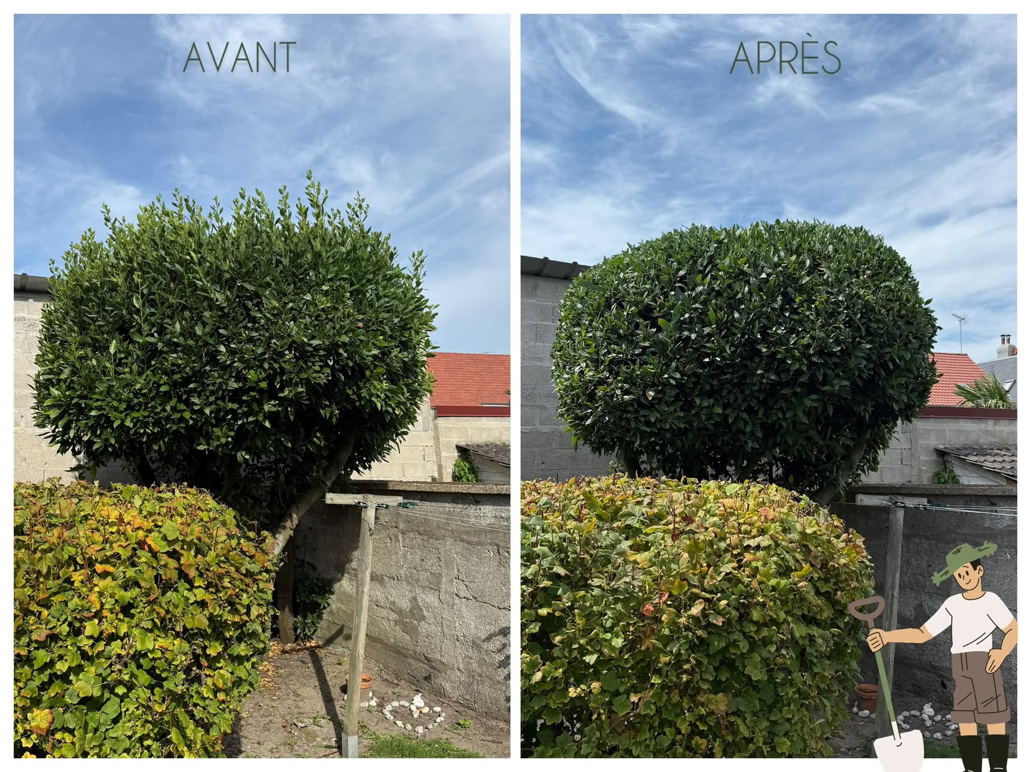 Tonte de pelouse sur un jardin bien entretenu