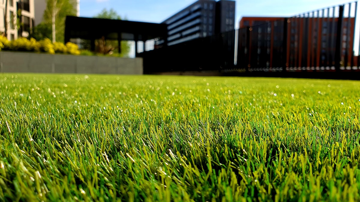 Pelouse parfaitement entretenue et espaces verts